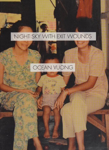 Night sky with exit wounds (2016)